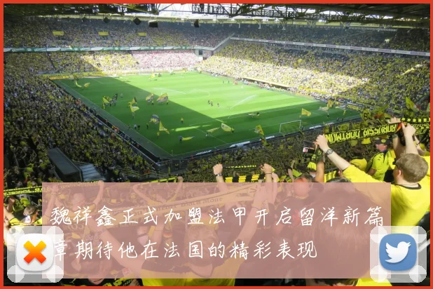 魏祥鑫正式加盟法甲开启留洋新篇章期待他在法国的精彩表现